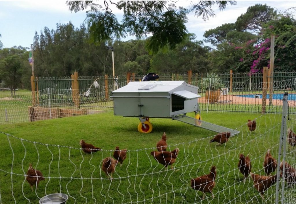 Chicken Caravan – Mobile hønsehuse Export Consulting