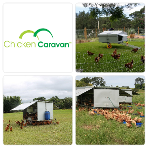 Chicken Caravan