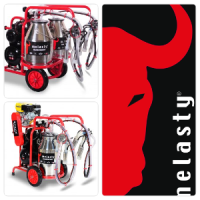 Melasty_Logo